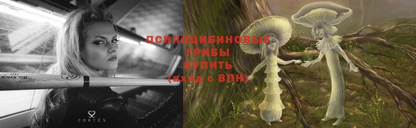 прущая мука Белокуриха