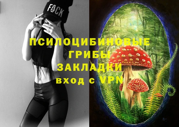 мяу мяу кристалл Бородино