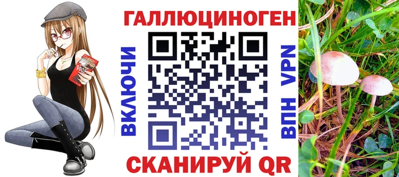 Галлюциногенные грибы MAGIC MUSHROOMS  omg зеркало  Няндома 