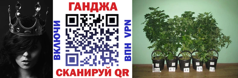 цена   Няндома  Конопля THC 21% 